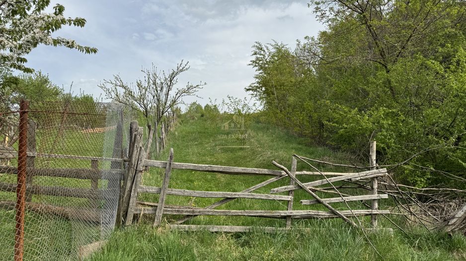 TEREN INTRAVILAN, 7472 MP, VALEA MARE PRAVAT, ARGES - Poză 4