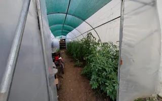 VOROVEȘTI - Casă individuală P+POD + 573 mp teren - Poză 24
