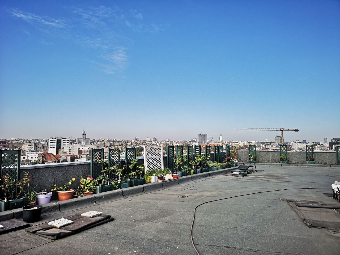 Duplex Maria Rosetti - Poză 8