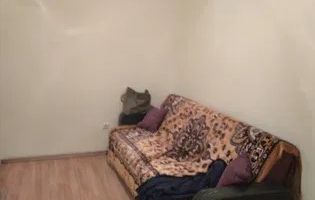 Apartament 2 camere | Pretabil investitie | Tiglari - Poză 3