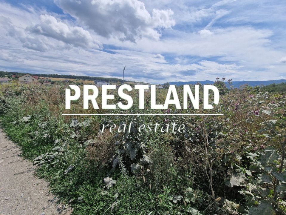 Teren de vânzare cu autorizație ! - Poză 3