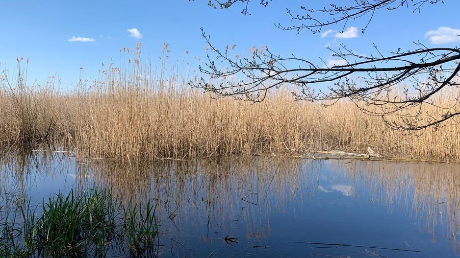 Teren 2000 mp de vânzare – Comana, deschidere la lac, aproape de Parcu - Poză 1