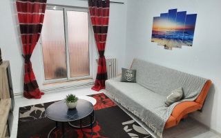 Apartament 2 camere, cartier Mircea cel Bătrân, parter înalt cu grădină privată - Poză 2