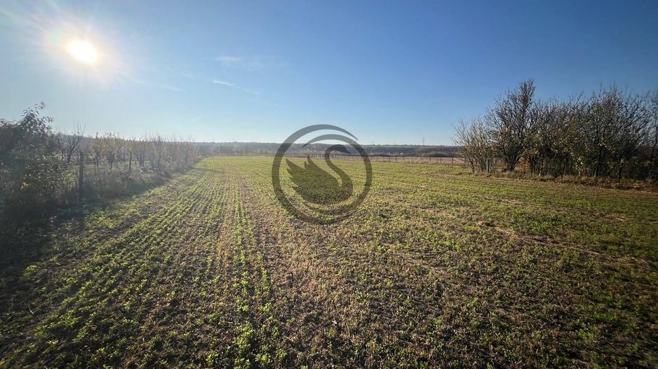 Teren intravilan de vanzare | 12.650 mp | Ghirdoveni | Comision 0% - Poză 13