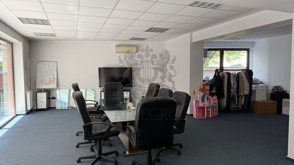 Vanzare | Cismigiu - Popa Tatu | Spatiu Office | 2009 - Poză 7