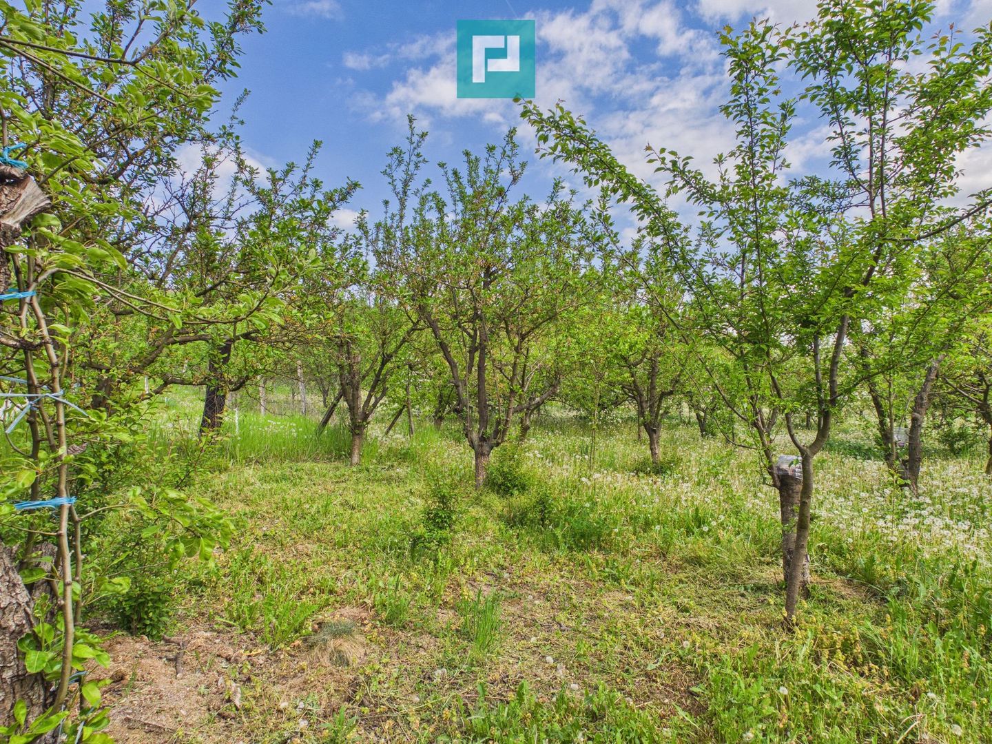 Casă cu 3 camere și teren generos în Drauț - Poză 9