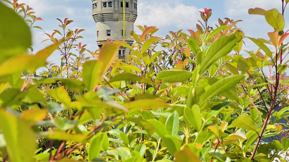 OFERTA VANDUTA - Direct Dezvoltator 0% Comision | Apartament 2 camere 55.8 mp | - Poză 4