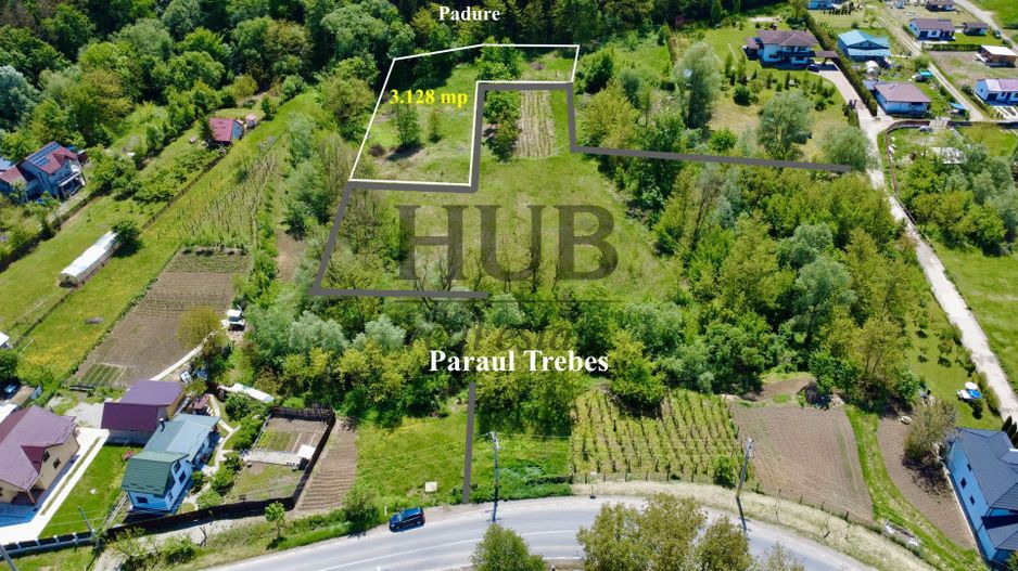 Teren intravilan | langa padure si parau | Luncani/Bacau - Poză 1