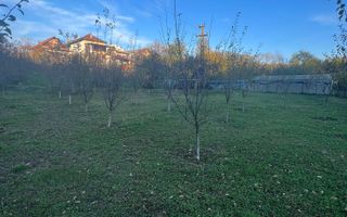 Casa cu livada | Bujoreni | 1550 mp - Poză 4