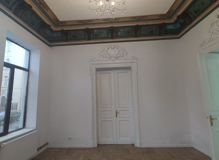 Vila Reprezentativa  8 camere Calea Mosilor - Poză 11