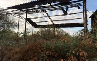 Fermă Sărand | Bihor | 25.659 mp teren intravilan - Poză 25