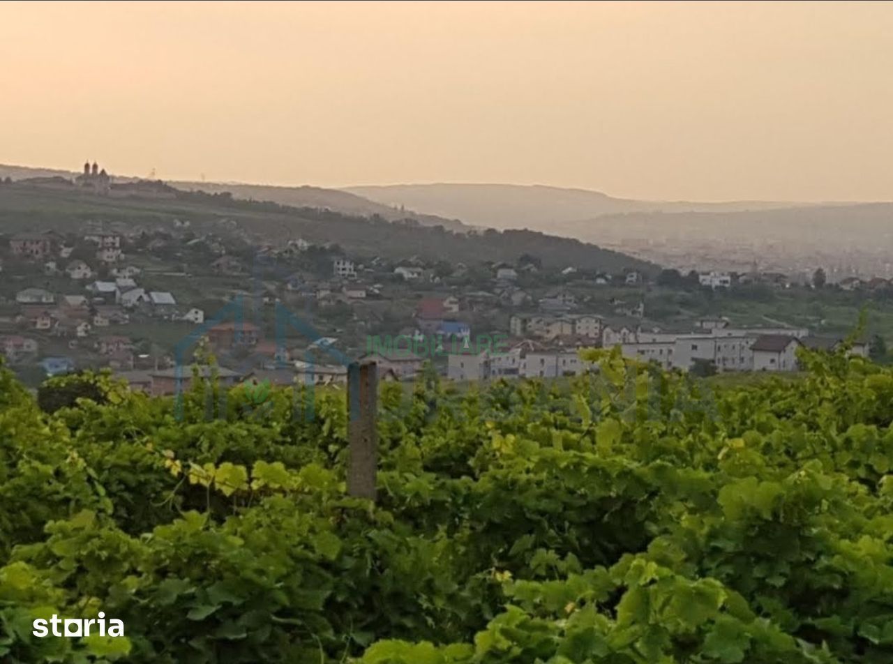 Teren intravilan 1.600 mp, Vișan, str. Al. Macedonski – ideal dezvoltare duplexuri/bloc - Poză 1