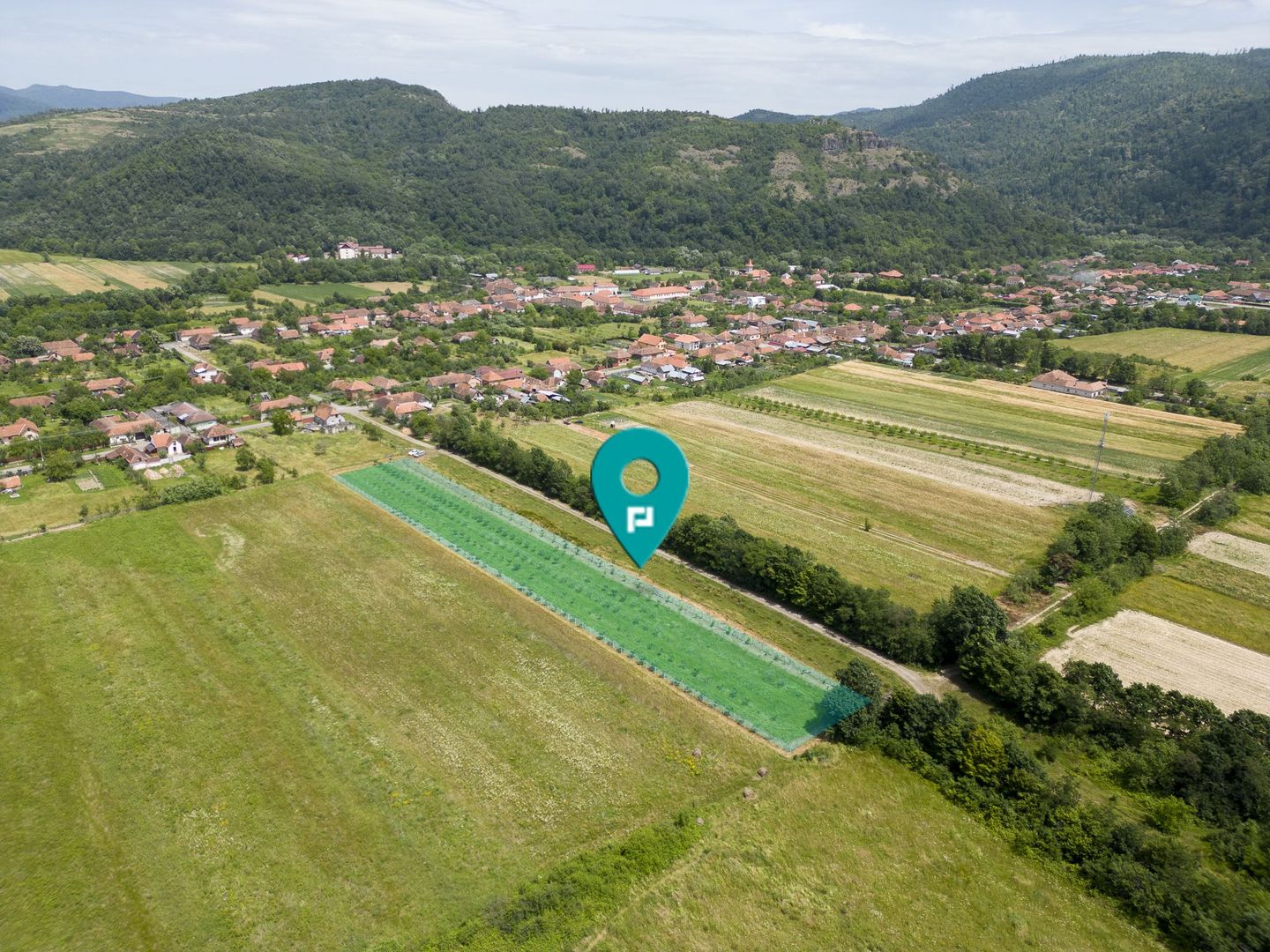 Livadă pe rod cu pomi fructiferi 4780mp la Dezna - Poză 1