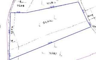 Teren 10262 mp extravilan Episcopia Oradea - Poză 5
