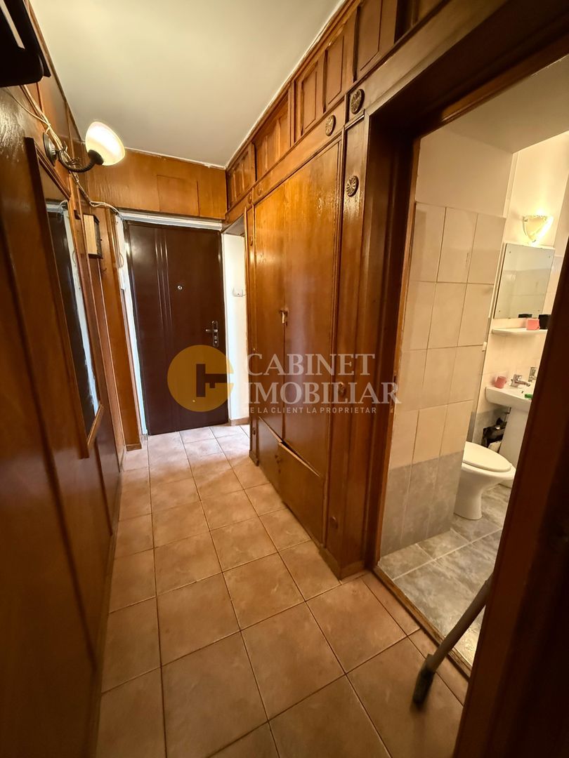 2 Camere - Zona Alexandru - Parcul Voievozilor - Poză 9