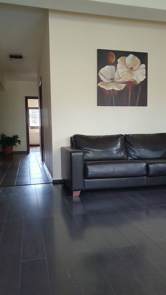 Vanzare vila 5 camere | Langa padure | Bucuresti | Baneasa - Poză 8