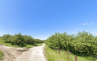 Teren de Vânzare – 34.485 mp | Câmpulung Muscel | Zonă Panoramică & Dezvoltare - Poză 1