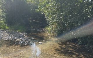 Teren de vânzare, 2.500 mp, Prisaca Dornei, zona Hurghiș, Câmpulung Moldovenesc - Poză 2