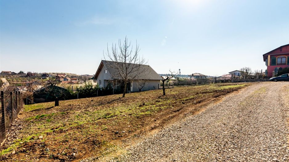 Teren intravilan Paleu - Poză 3