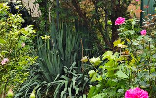 Apartament cu gradina, incalzire pardoseala. ZONA CONSULATELOR! - Poză 52