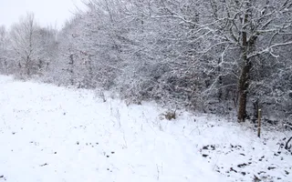Teren intravilan I Cisnadie I Zona in dezvoltare - Poză 11