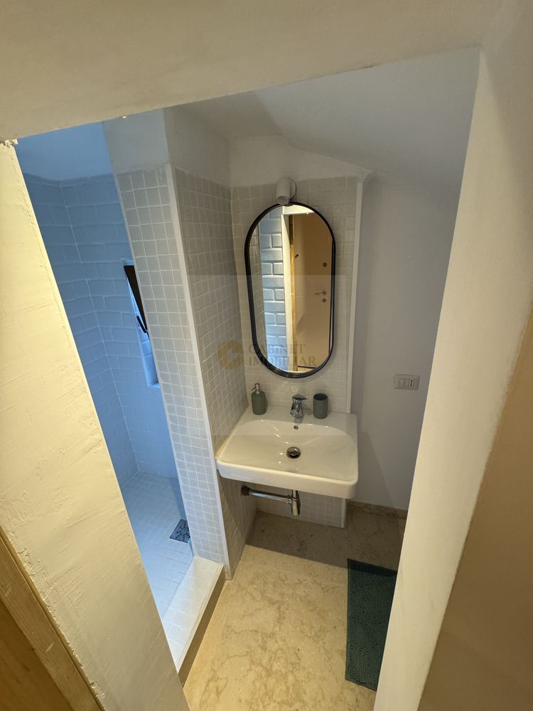 R1  | Studio  | Parcul Cismigiu - Poză 6