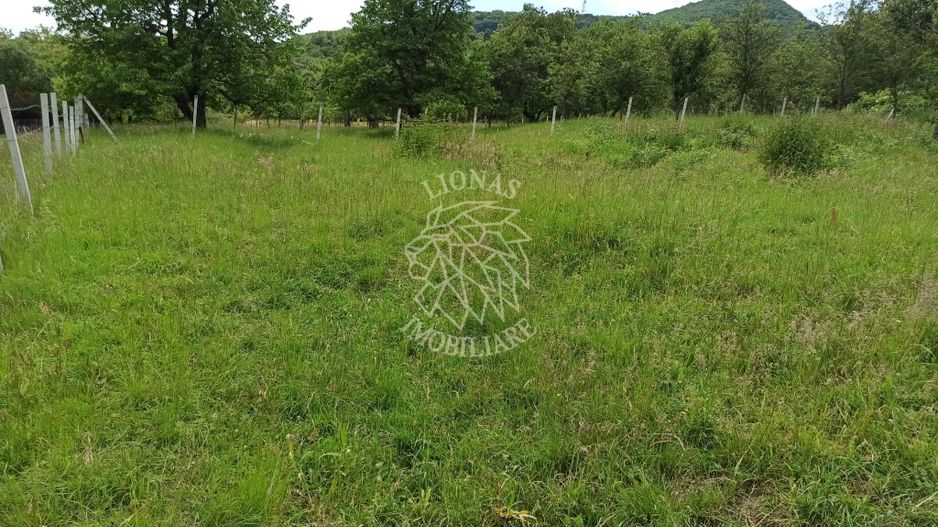 Teren 1000mp+cota drum-ideal cabana/investitie-panorama-Valea Rusului - Poză 1