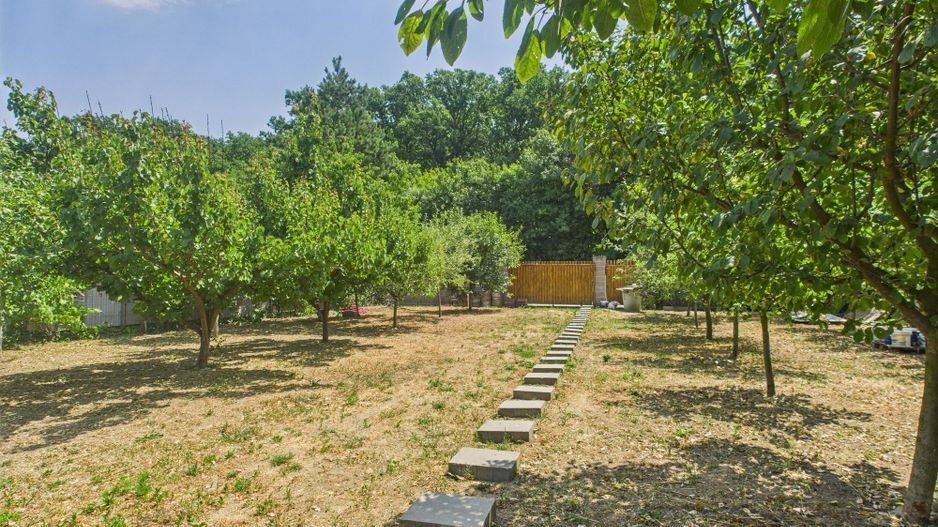 Teren edificabil 1106 mp – Dumbrăvița - Poză 1