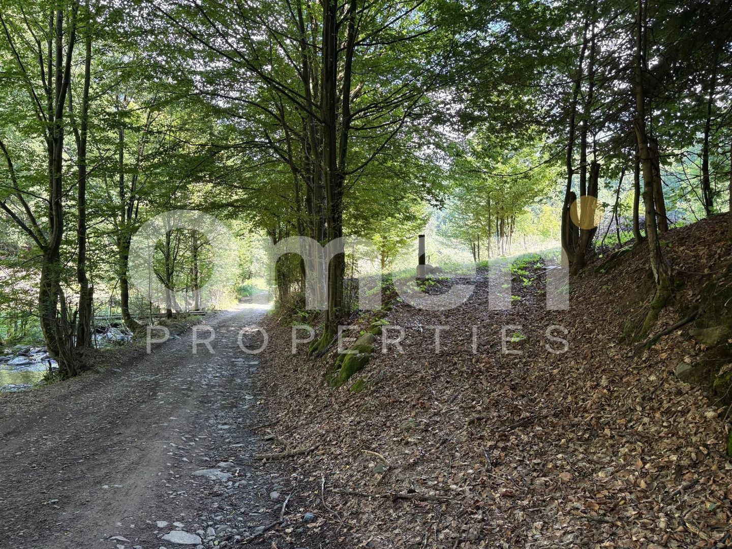 Teren extravilan de vânzare | 1402 mp | Blidari | zonă superbă - Poză 5