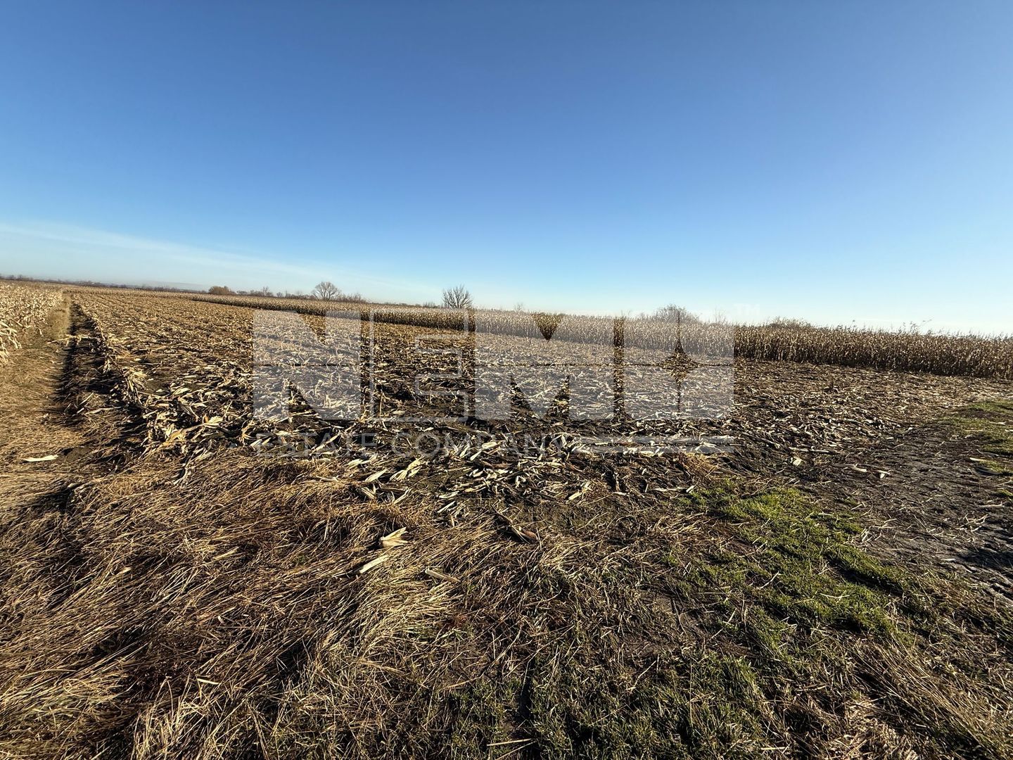 TEREN EXTRAVILAN  51 ARI |  HORODNIC DE JOS  | - Poză 5