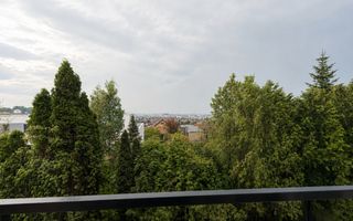 Vila spatioasa cu 15 camere de inchiriat in zona Andrei Muresanu - Poză 27