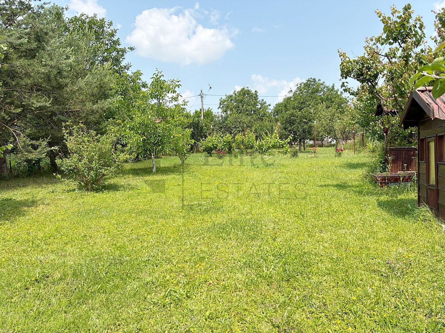 Casa cu teren 1079 mp de vanzare in Apateu, Bihor - Poză 3