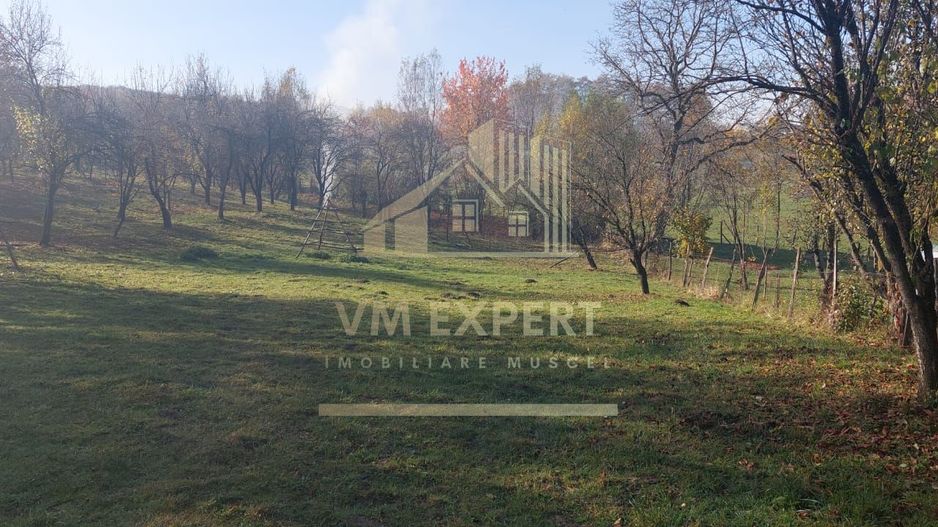 TEREN INTRAVILAN 3000 MP, CAMPULUNG - Poză 1