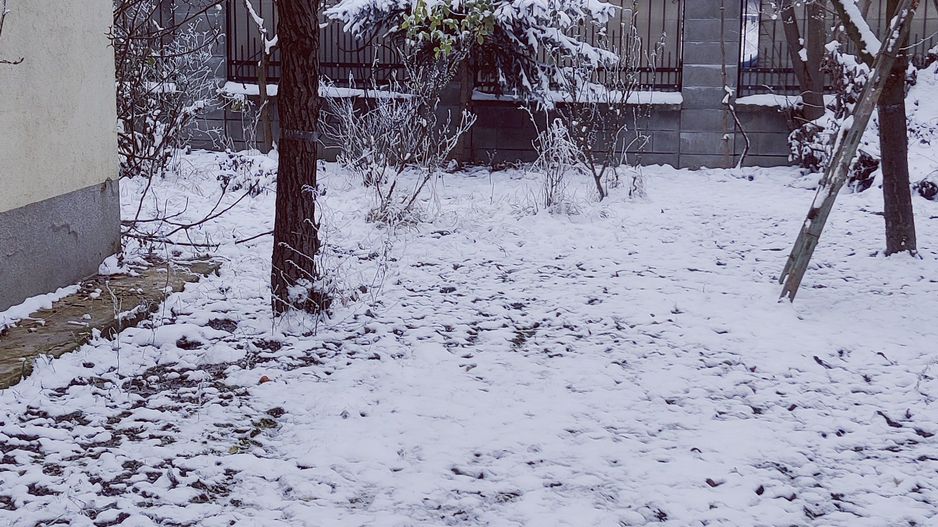 SPATIU BIROURI 110 MP -  GHIRODA - Poză 21