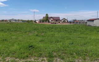 🌿 Teren de vânzare – Răcari, Str. Mestecenilor - Intrarea cu Tei - Poză 2