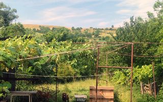 Casă cu teren 800 mp la 25 km de Sibiu – 3 camere - Poză 2