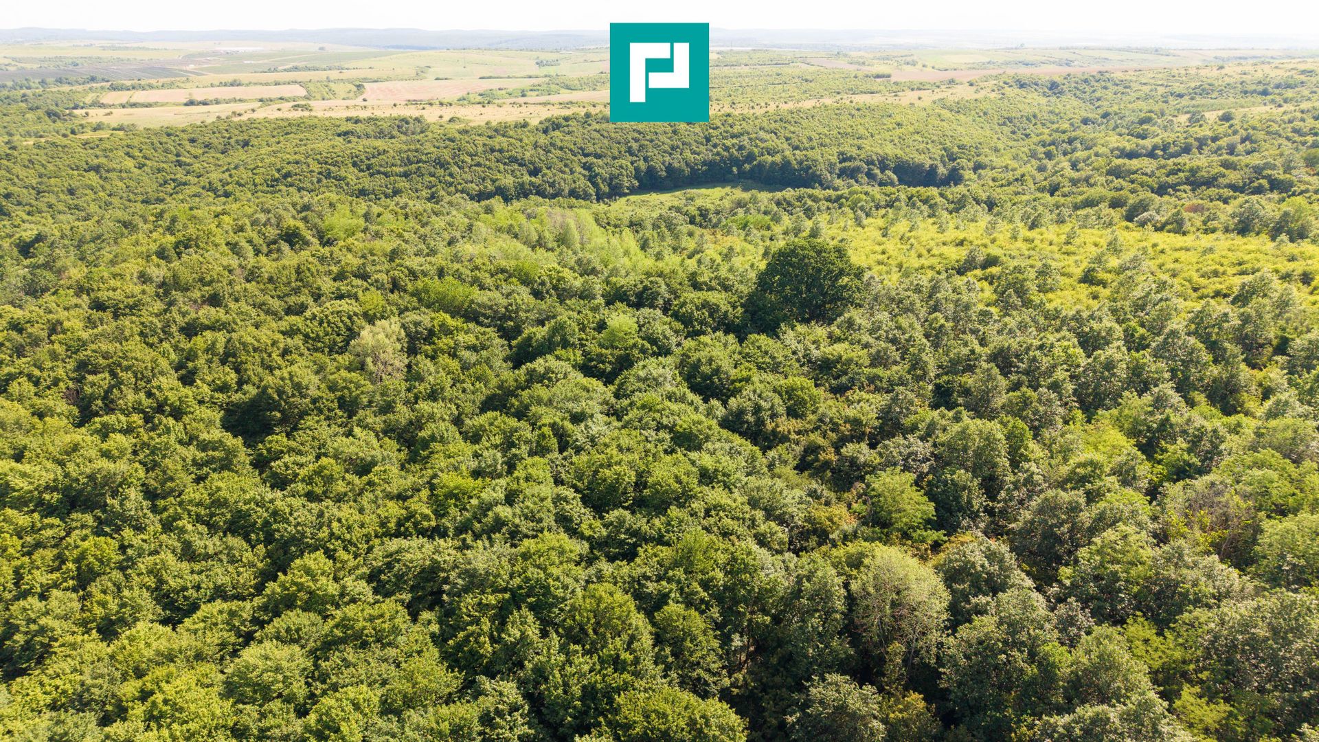 TEREN AGRICOL EXTRAVILAN  22.900 MP LIPOVA - Poză 10