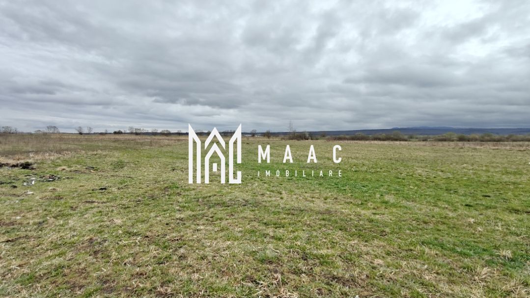 Teren extravilan I 2400 mp I Arabil I Teren drept I Cristian - Poză 4