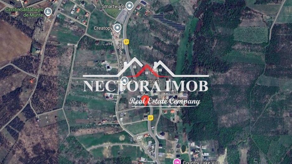 NECTORA IMOB-Exclusivitate Teren Intravilan Saldabagiu de Munte 1223mp - Poză 1