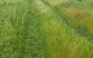 Teren Buftea cu iesire la lac - Poză 16