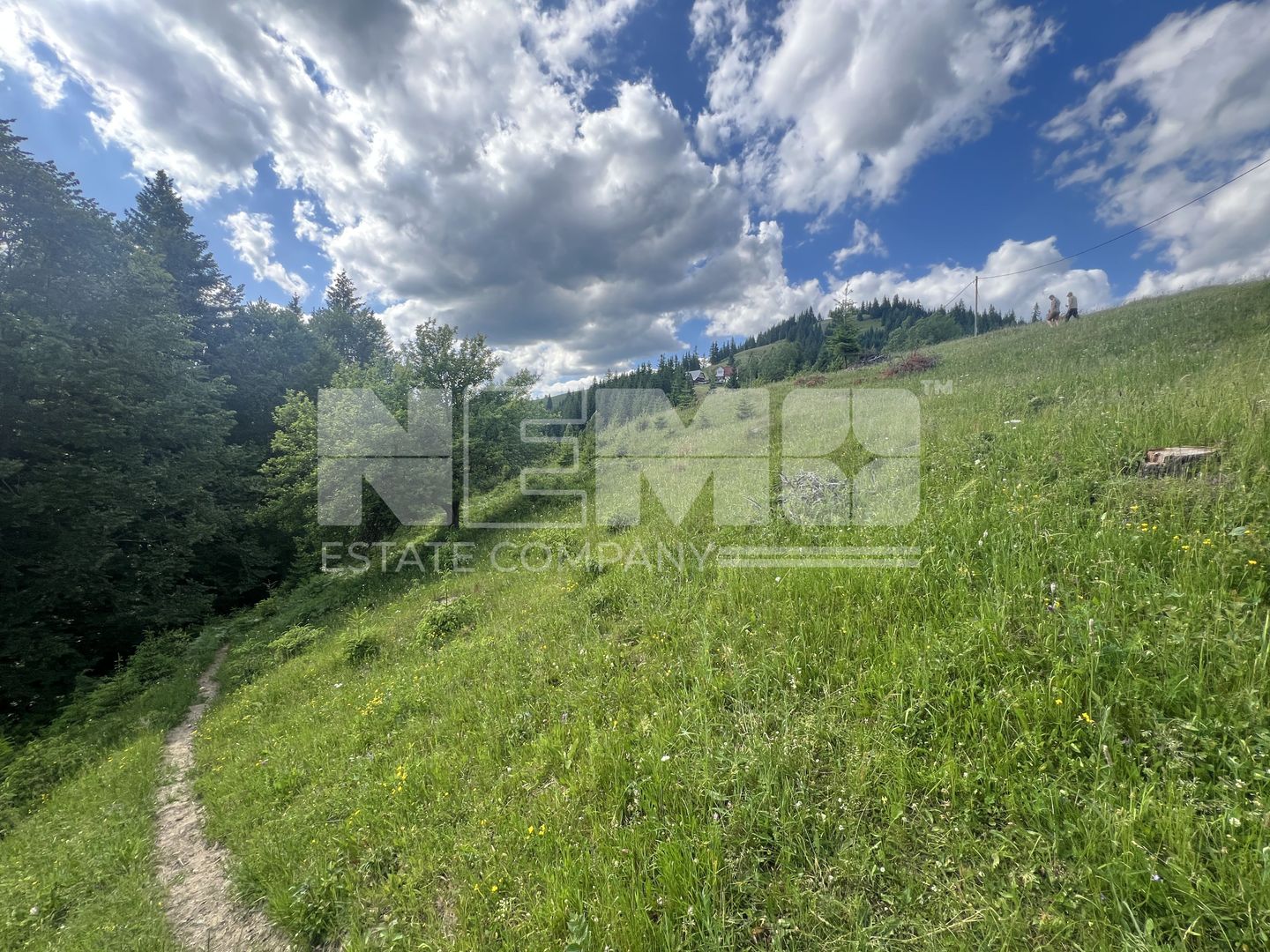 Teren Intravilan | Brodina de Jos | 16900 MP - Poză 7