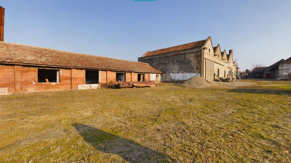 Teren și hale pe calea Aradului în Periam - Poză 10