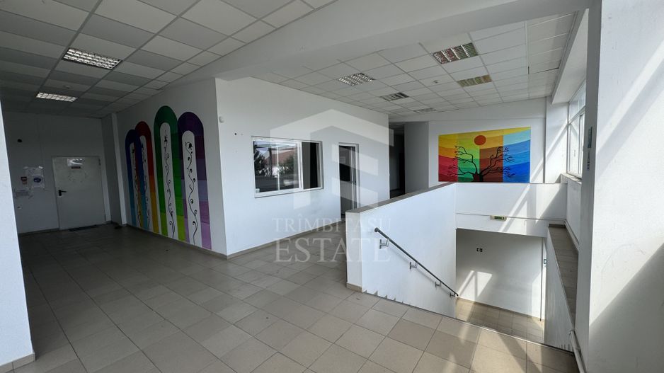 Hala productie P+1 si apartament de serviciu Navodari - c-tie beton - Poză 12