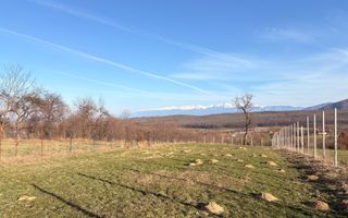 Teren intravilan 809 mp de vânzare – Tropinii Noi-Sibiu - Poză 7