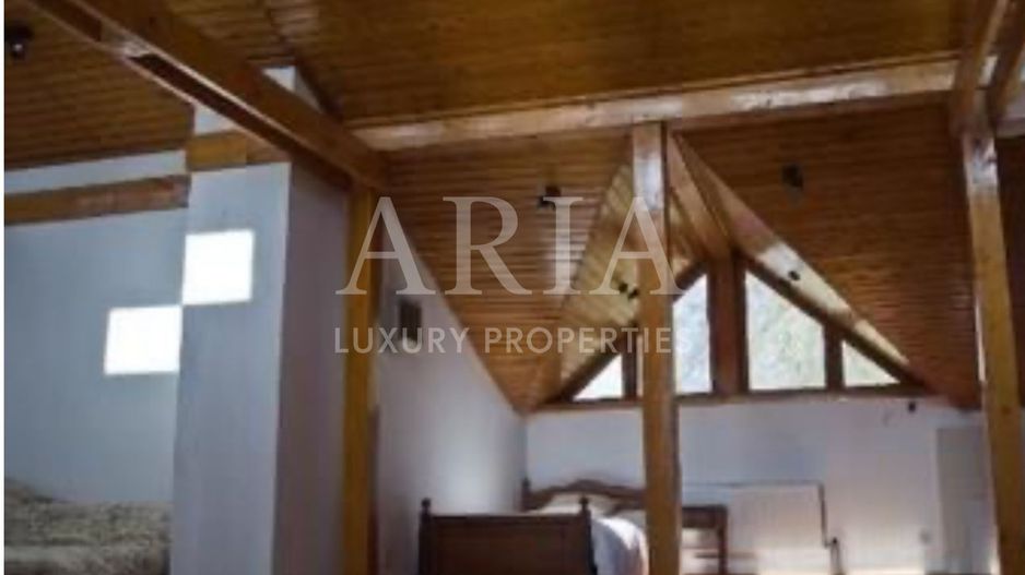 VILA SNAGOV | DESCHIDERE LA LAC - Poză 7