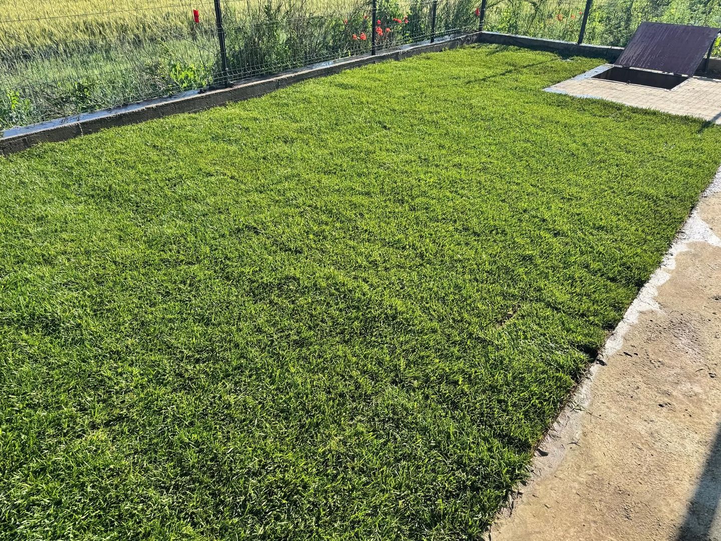Casa individuala | 338 mp teren | Pompa caldura+Fosa+Put [+21% TVA] - Poză 4