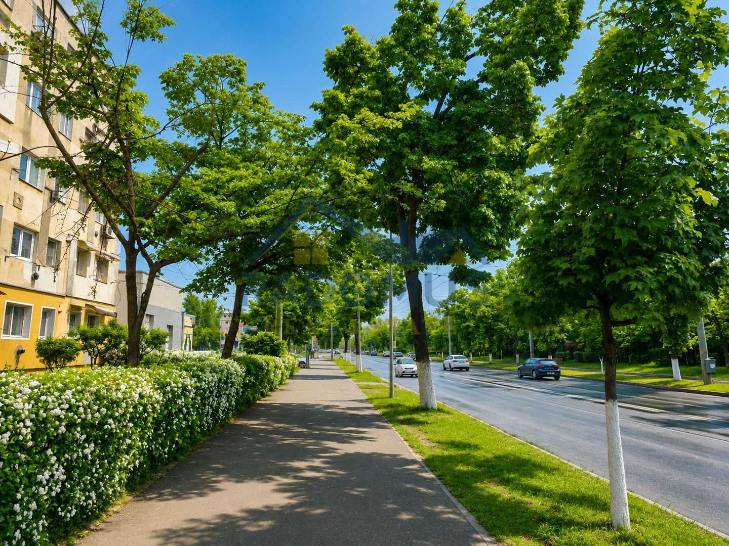 Garsonieră de vânzare – 22 Mp Utili - Parter - Vest -31.900 Euro - Poză 2