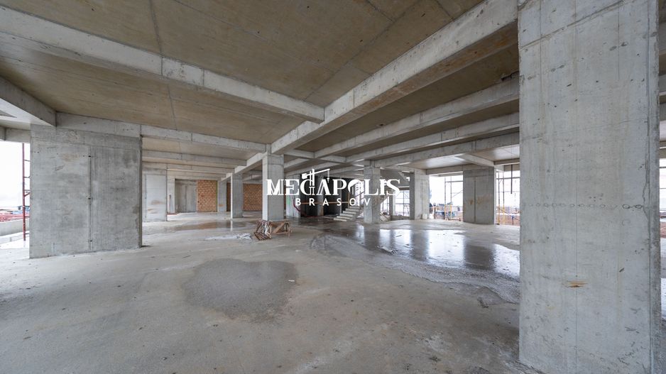 CARPATHIA Brașov - Poză 37