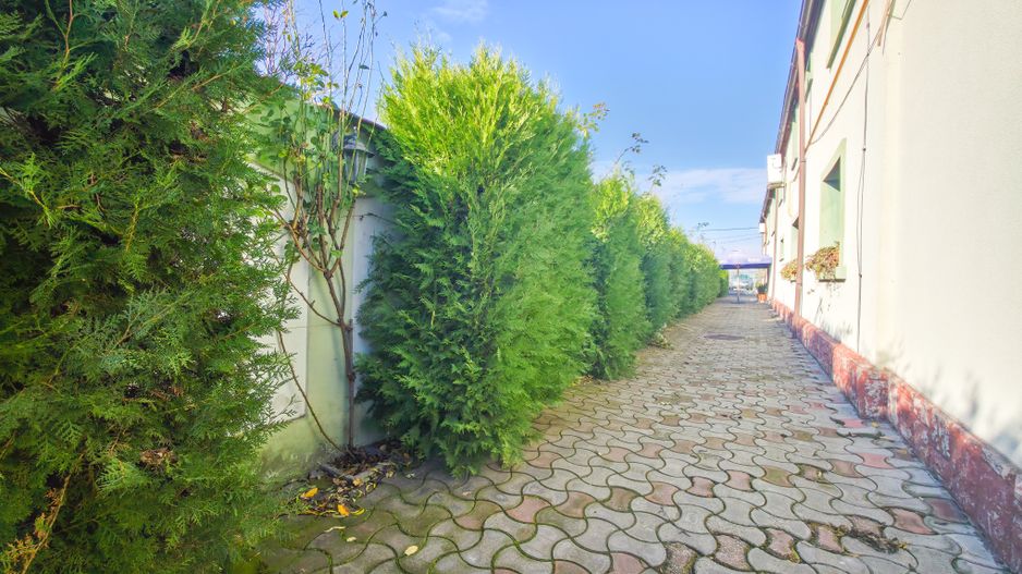 De vânzare – Proprietate comercială tip Restaurant & Salon Evenimente - Poză 25
