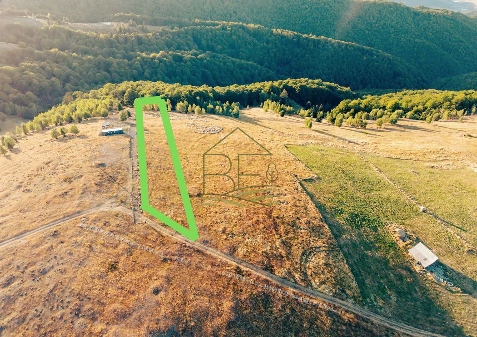 Păltiniș - Teren cu perspectivă panoramică pentru un refugiu în natură - Poză 1